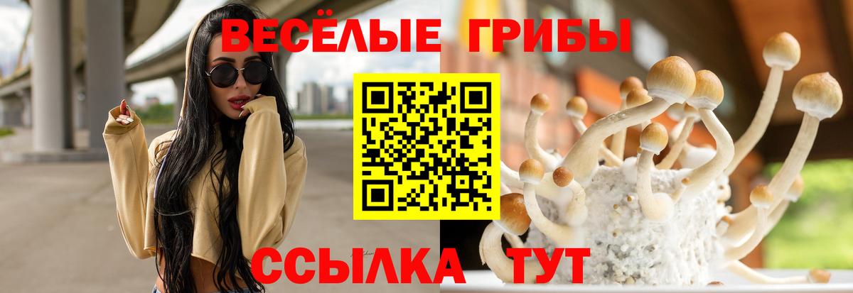 Галлюциногенные грибы Magic Shrooms  Галлюциногенные грибы GOLDEN TEACHER  Вход с VPN  Азнакаево 